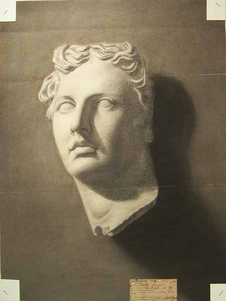 Plaster cast of head of the Apollo Belvedere